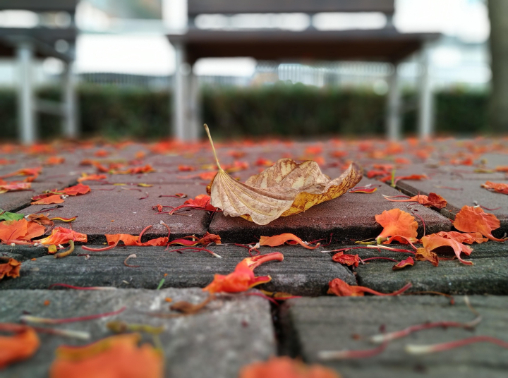 Ki köteles rendben tartani az ingatlan előtti járdát?